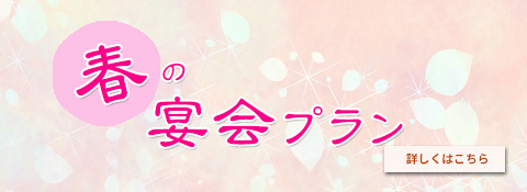 宴会プランB